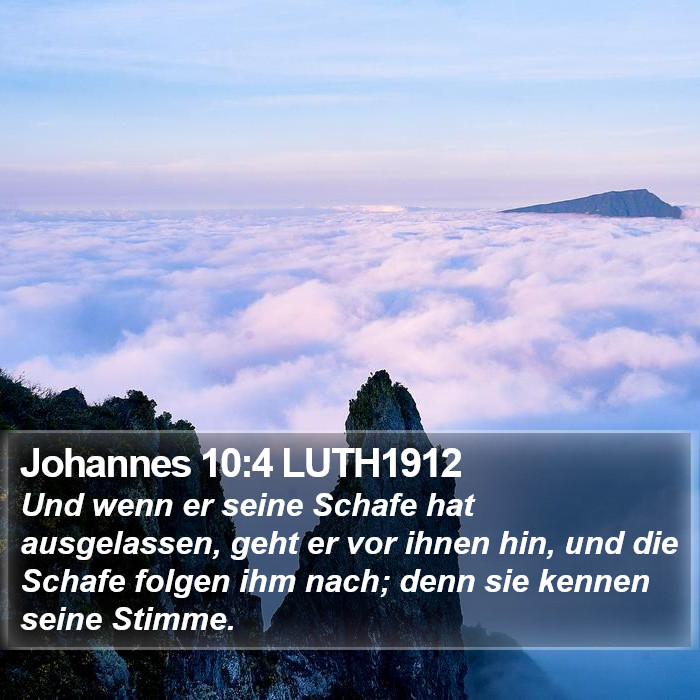 Johannes 10:4 LUTH1912 Bible Study