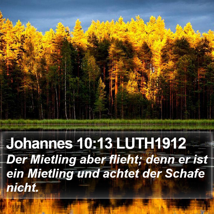 Johannes 10:13 LUTH1912 Bible Study