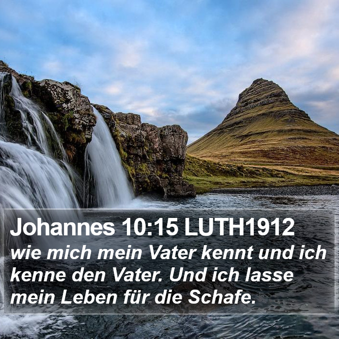 Johannes 10:15 LUTH1912 Bible Study