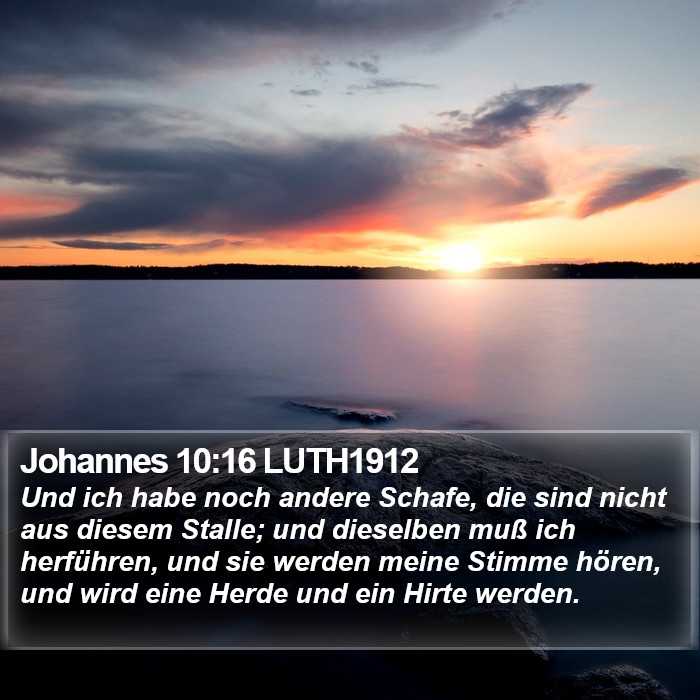 Johannes 10:16 LUTH1912 Bible Study