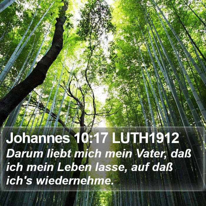 Johannes 10:17 LUTH1912 Bible Study
