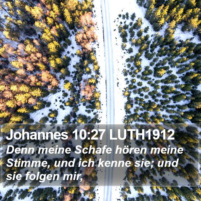 Johannes 10:27 LUTH1912 Bible Study
