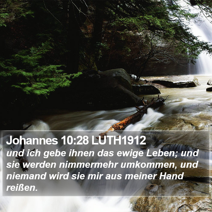 Johannes 10:28 LUTH1912 Bible Study