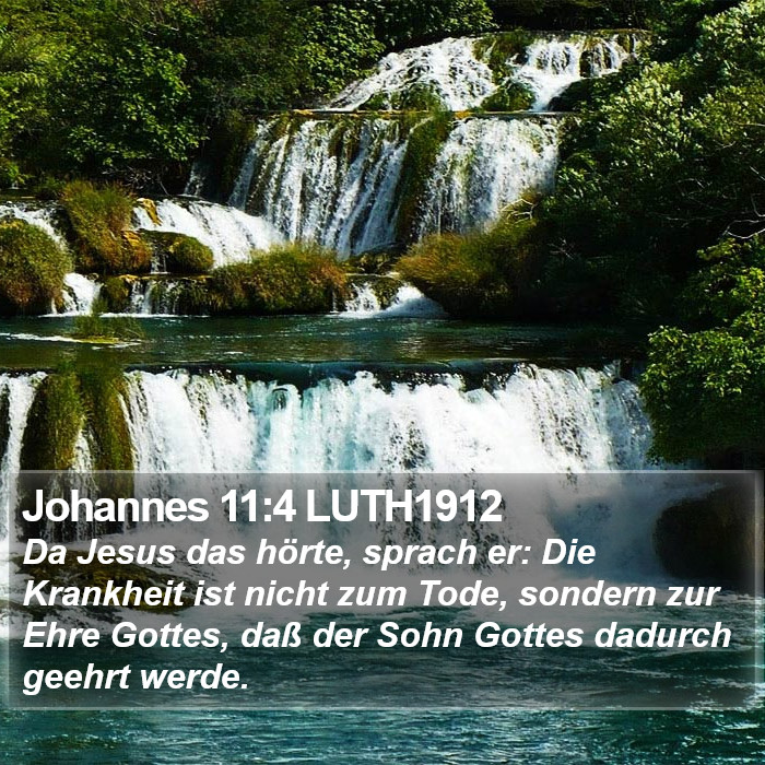 Johannes 11:4 LUTH1912 Bible Study