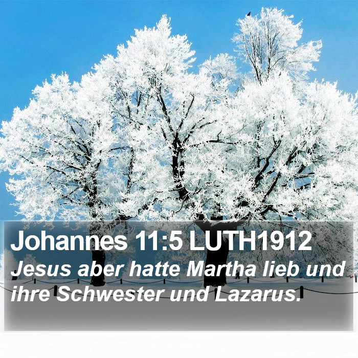 Johannes 11:5 LUTH1912 Bible Study