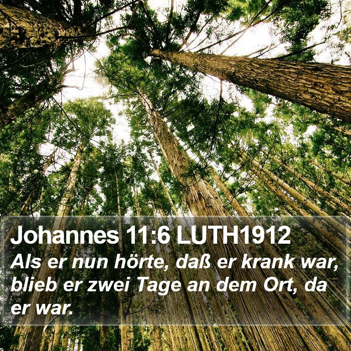 Johannes 11:6 LUTH1912 Bible Study