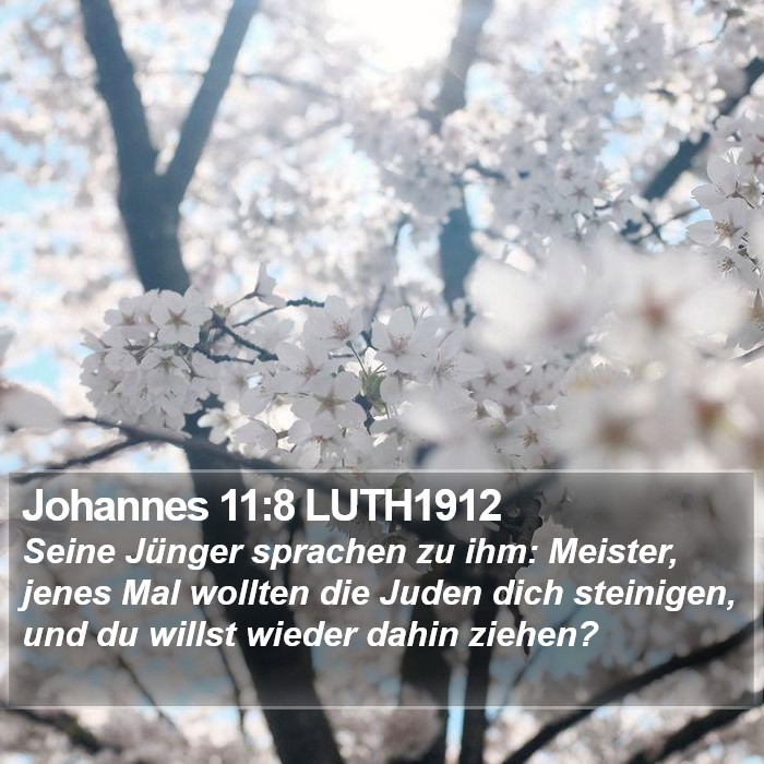 Johannes 11:8 LUTH1912 Bible Study