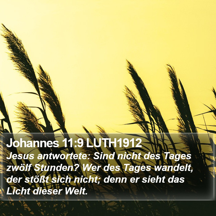 Johannes 11:9 LUTH1912 Bible Study