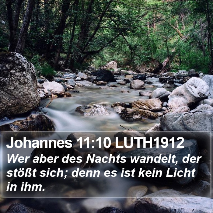 Johannes 11:10 LUTH1912 Bible Study