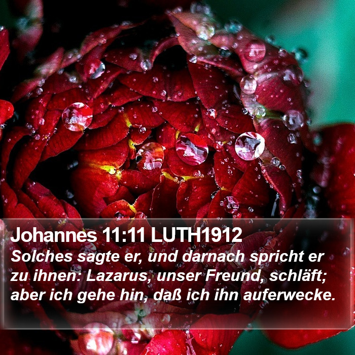 Johannes 11:11 LUTH1912 Bible Study