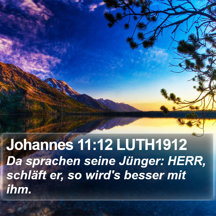 Johannes 11:12 LUTH1912 Bible Study