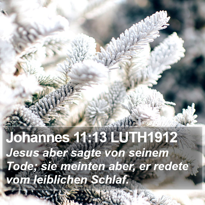 Johannes 11:13 LUTH1912 Bible Study