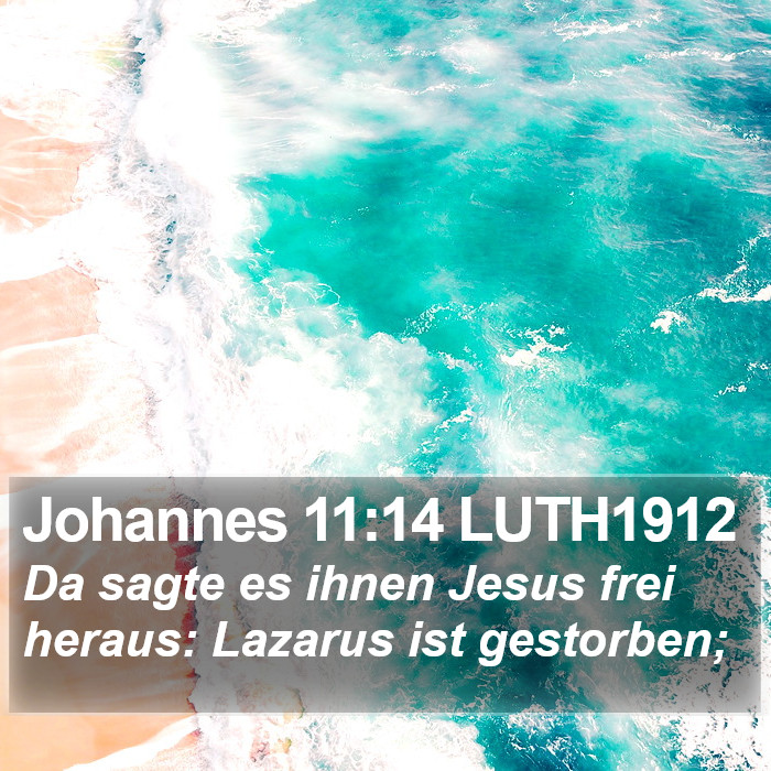 Johannes 11:14 LUTH1912 Bible Study