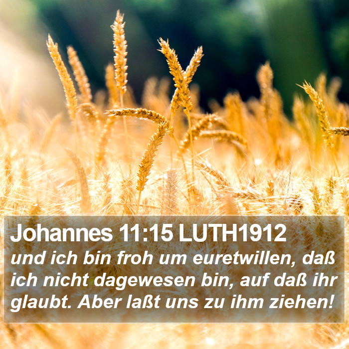 Johannes 11:15 LUTH1912 Bible Study