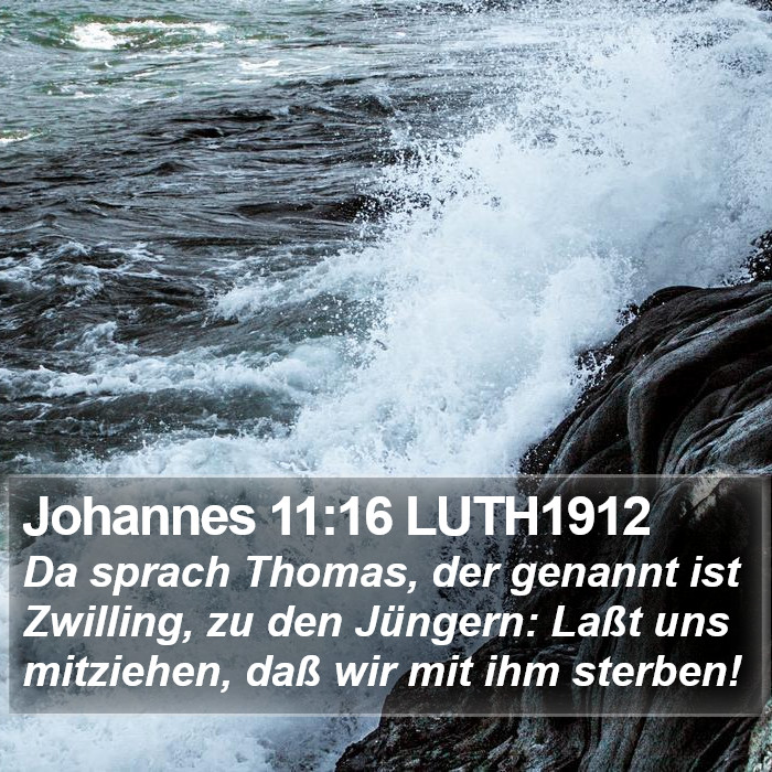 Johannes 11:16 LUTH1912 Bible Study