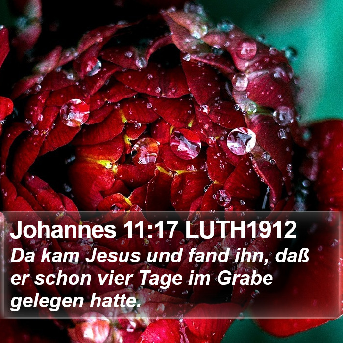 Johannes 11:17 LUTH1912 Bible Study