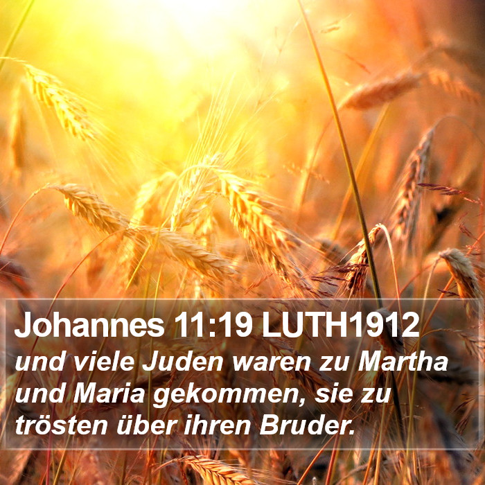 Johannes 11:19 LUTH1912 Bible Study