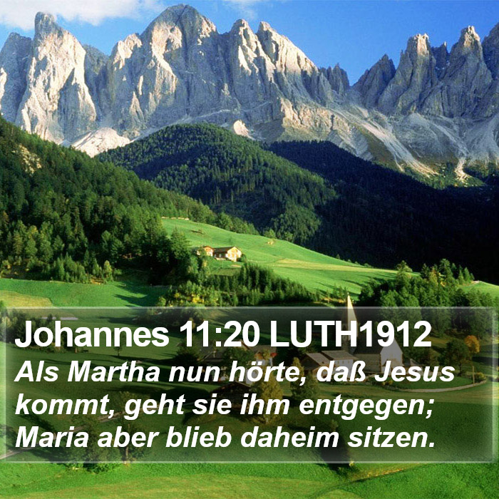 Johannes 11:20 LUTH1912 Bible Study