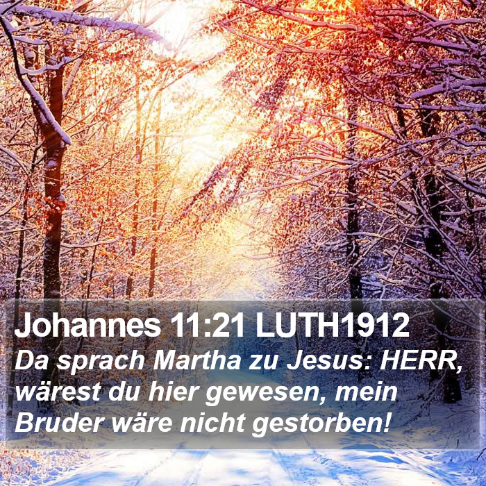 Johannes 11:21 LUTH1912 Bible Study