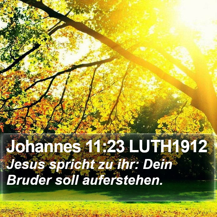 Johannes 11:23 LUTH1912 Bible Study