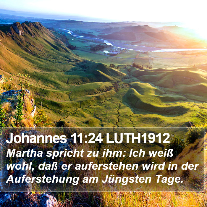 Johannes 11:24 LUTH1912 Bible Study