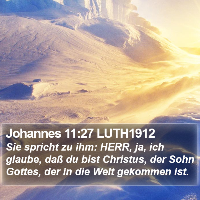 Johannes 11:27 LUTH1912 Bible Study