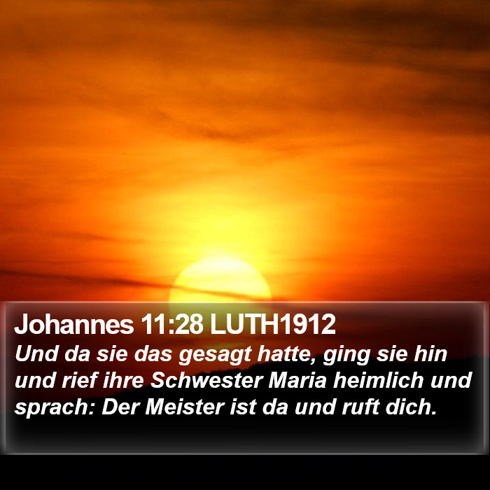 Johannes 11:28 LUTH1912 Bible Study