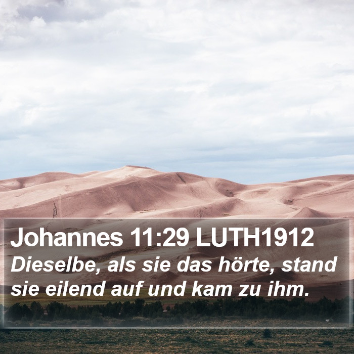 Johannes 11:29 LUTH1912 Bible Study