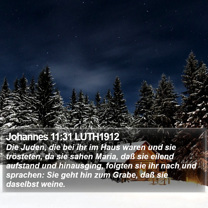 Johannes 11:31 LUTH1912 Bible Study