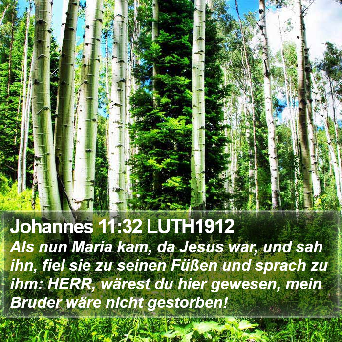 Johannes 11:32 LUTH1912 Bible Study