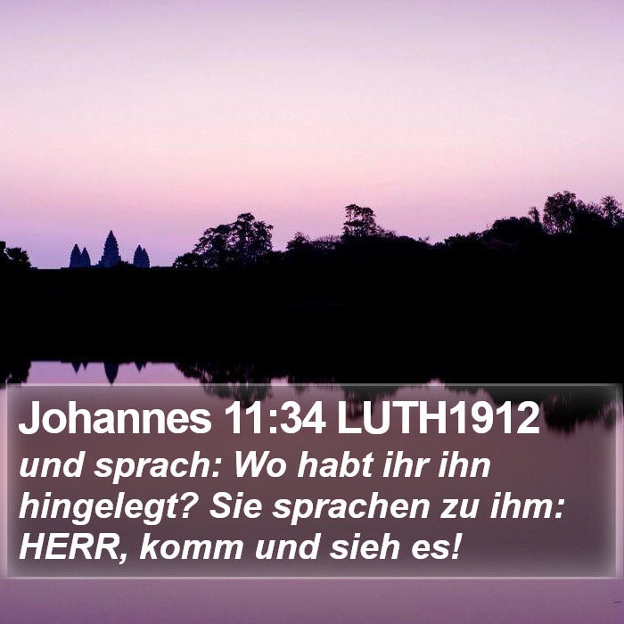 Johannes 11:34 LUTH1912 Bible Study