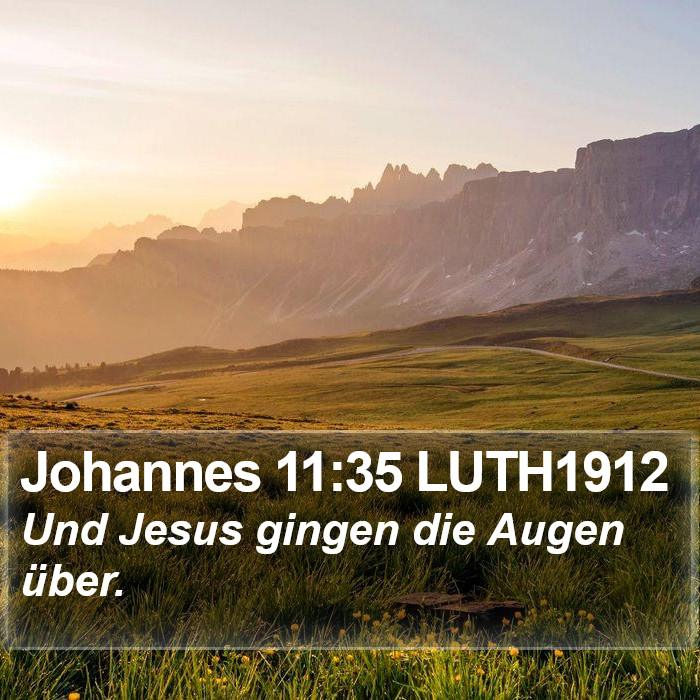 Johannes 11:35 LUTH1912 Bible Study