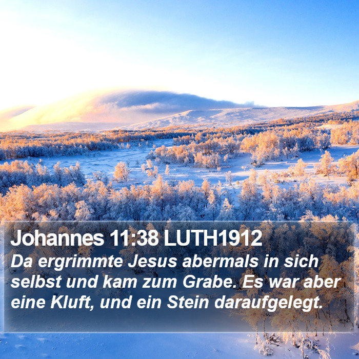 Johannes 11:38 LUTH1912 Bible Study