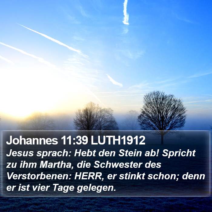 Johannes 11:39 LUTH1912 Bible Study