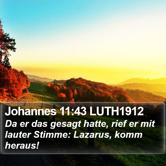 Johannes 11:43 LUTH1912 Bible Study