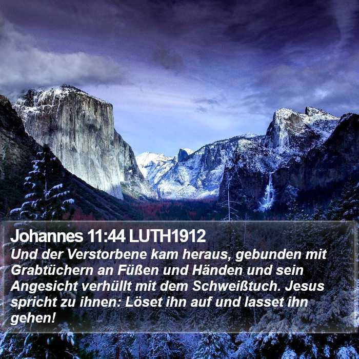 Johannes 11:44 LUTH1912 Bible Study