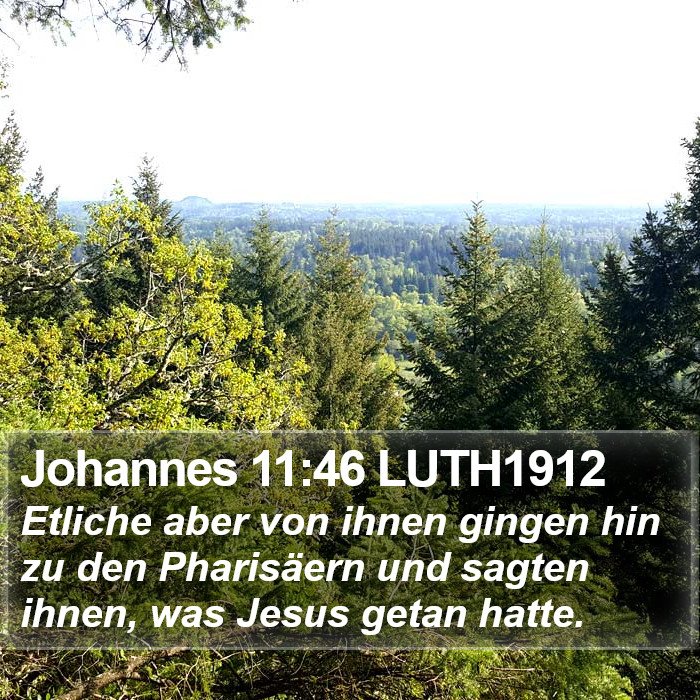 Johannes 11:46 LUTH1912 Bible Study