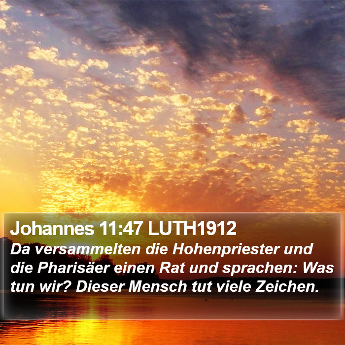 Johannes 11:47 LUTH1912 Bible Study