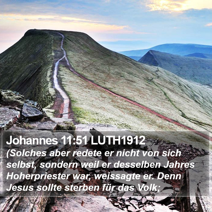 Johannes 11:51 LUTH1912 Bible Study