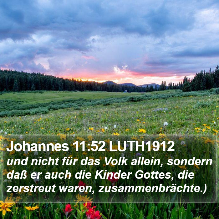 Johannes 11:52 LUTH1912 Bible Study