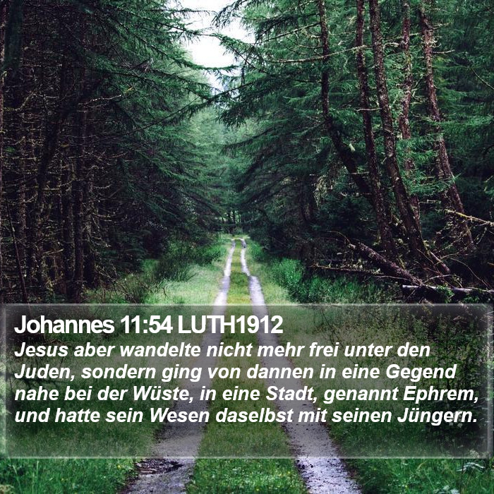 Johannes 11:54 LUTH1912 Bible Study