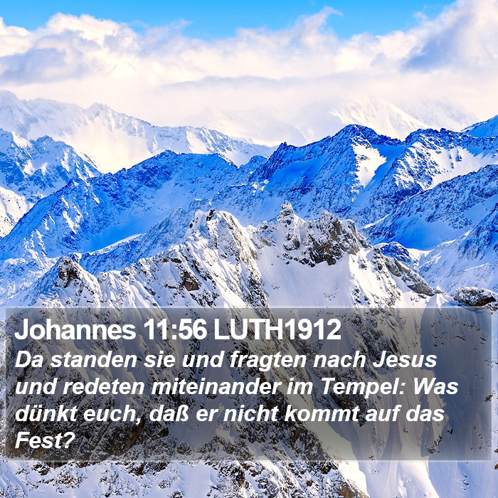 Johannes 11:56 LUTH1912 Bible Study