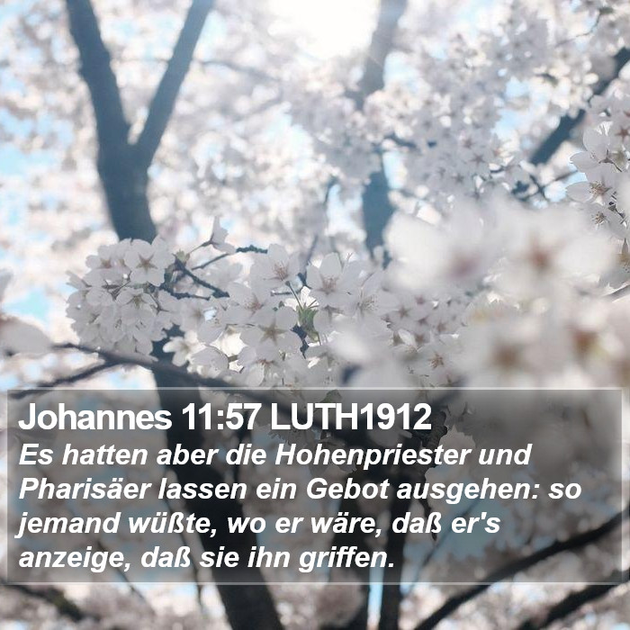 Johannes 11:57 LUTH1912 Bible Study