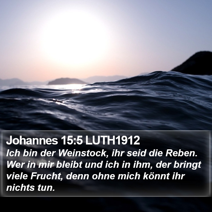 Johannes 15:5 LUTH1912 Bible Study