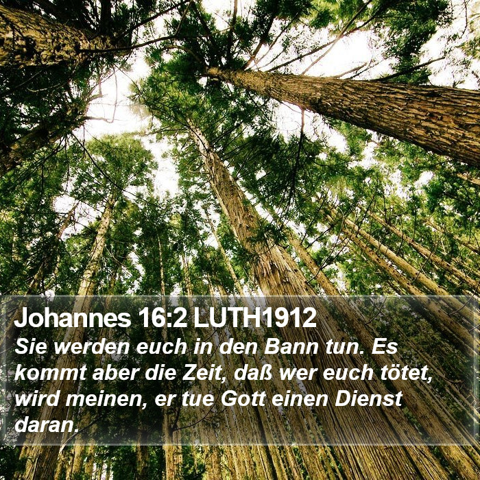 Johannes 16:2 LUTH1912 Bible Study