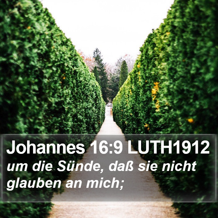 Johannes 16:9 LUTH1912 Bible Study