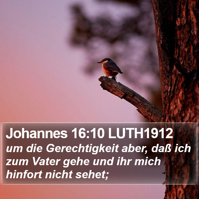 Johannes 16:10 LUTH1912 Bible Study