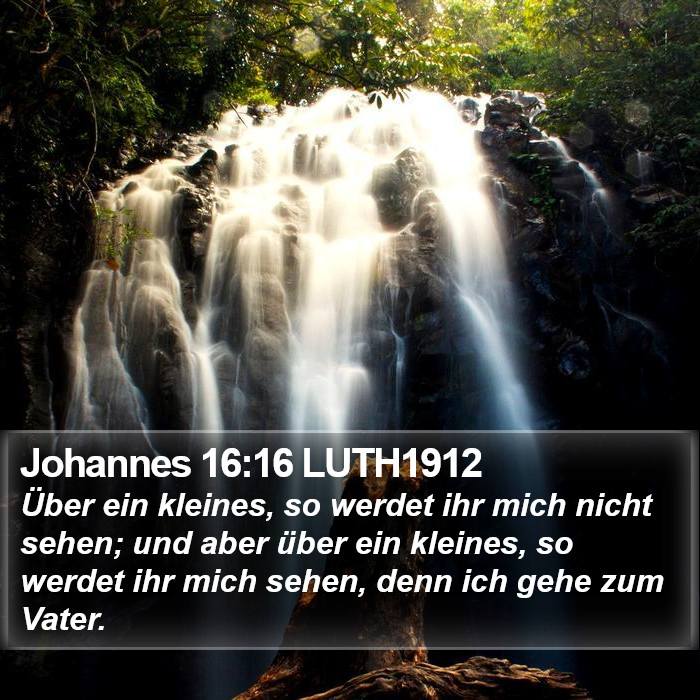 Johannes 16:16 LUTH1912 Bible Study