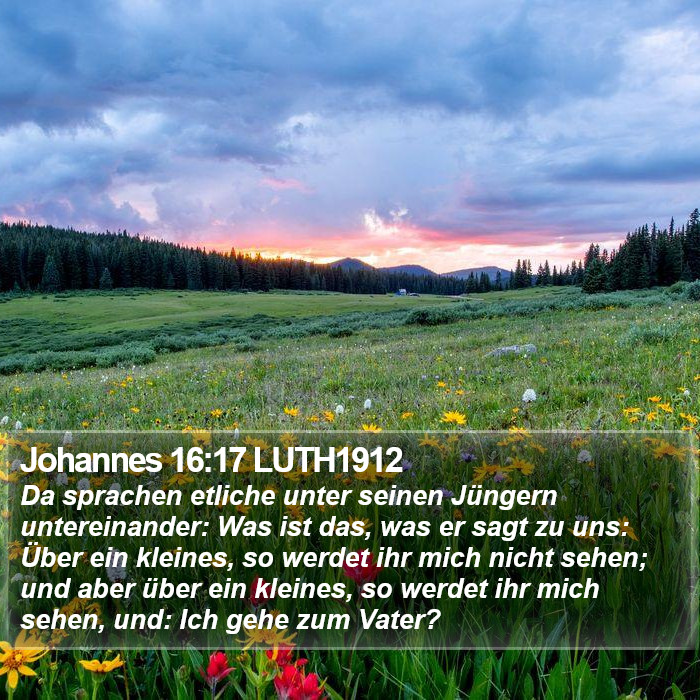 Johannes 16:17 LUTH1912 Bible Study