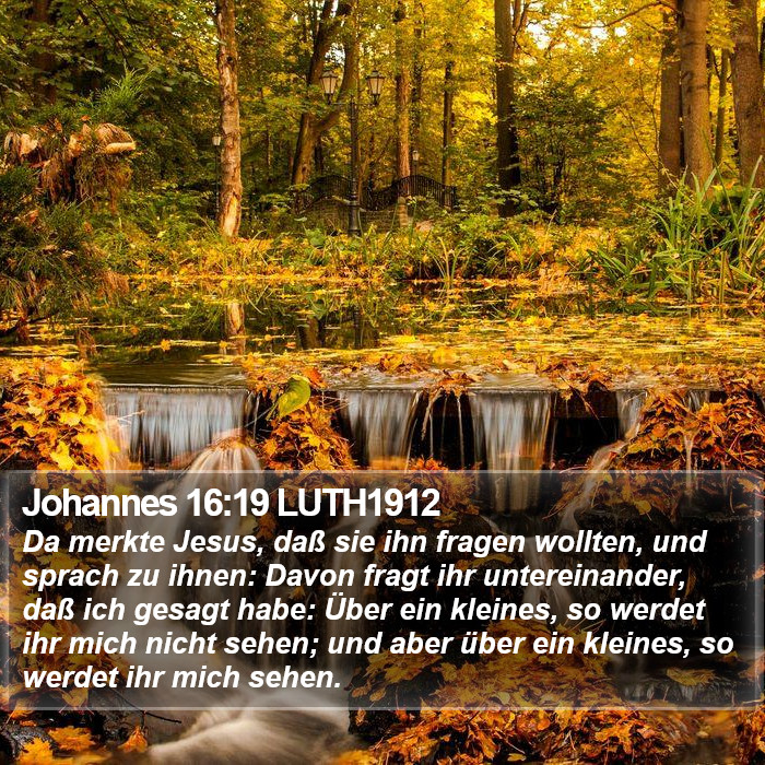 Johannes 16:19 LUTH1912 Bible Study